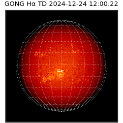 gong - 2024-12-24T12:00:22