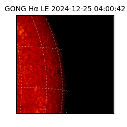 gong - 2024-12-25T04:00:42