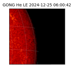 gong - 2024-12-25T06:00:42
