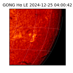 gong - 2024-12-25T04:00:42