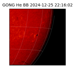 gong - 2024-12-25T22:16:02