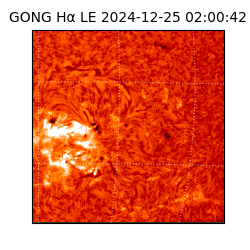 gong - 2024-12-25T02:00:42