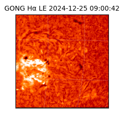 gong - 2024-12-25T09:00:42