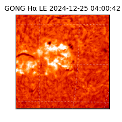 gong - 2024-12-25T04:00:42