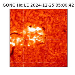 gong - 2024-12-25T05:00:42