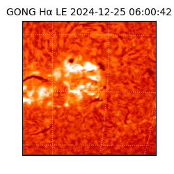 gong - 2024-12-25T06:00:42