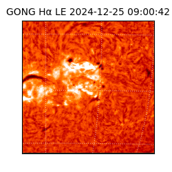 gong - 2024-12-25T09:00:42