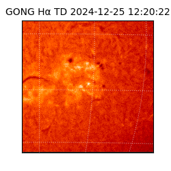 gong - 2024-12-25T12:20:22