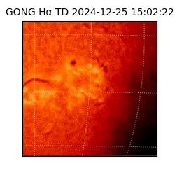 gong - 2024-12-25T15:02:22