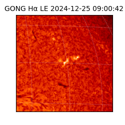 gong - 2024-12-25T09:00:42