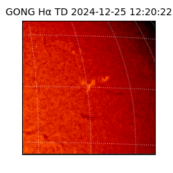 gong - 2024-12-25T12:20:22