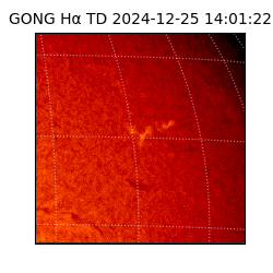 gong - 2024-12-25T14:01:22