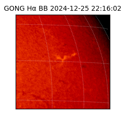 gong - 2024-12-25T22:16:02