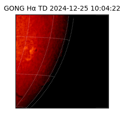 gong - 2024-12-25T10:04:22