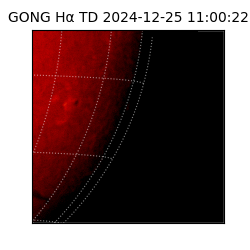 gong - 2024-12-25T11:00:22