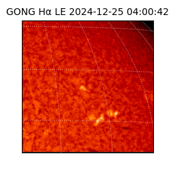 gong - 2024-12-25T04:00:42