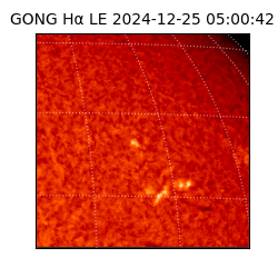 gong - 2024-12-25T05:00:42