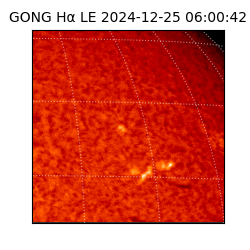 gong - 2024-12-25T06:00:42