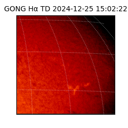 gong - 2024-12-25T15:02:22