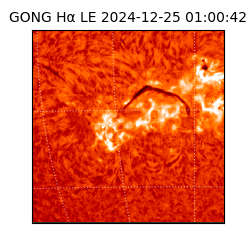 gong - 2024-12-25T01:00:42