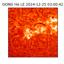 gong - 2024-12-25T03:00:42