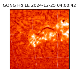 gong - 2024-12-25T04:00:42