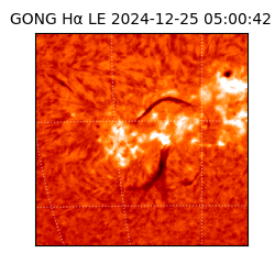 gong - 2024-12-25T05:00:42