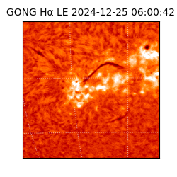 gong - 2024-12-25T06:00:42