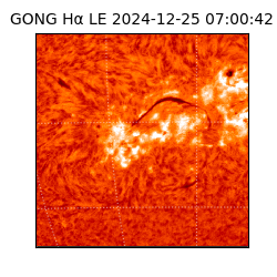 gong - 2024-12-25T07:00:42