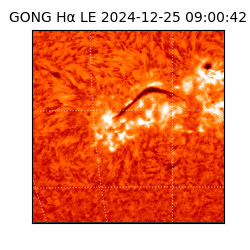 gong - 2024-12-25T09:00:42