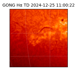 gong - 2024-12-25T11:00:22