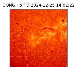 gong - 2024-12-25T14:01:22