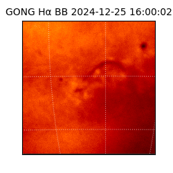 gong - 2024-12-25T16:00:02