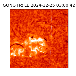 gong - 2024-12-25T03:00:42