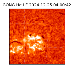 gong - 2024-12-25T04:00:42