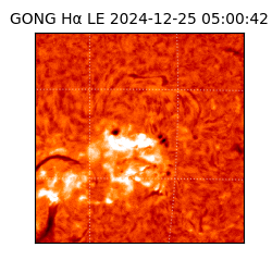 gong - 2024-12-25T05:00:42