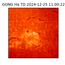 gong - 2024-12-25T11:00:22