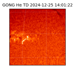 gong - 2024-12-25T14:01:22