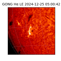 gong - 2024-12-25T05:00:42