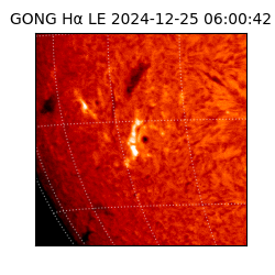 gong - 2024-12-25T06:00:42