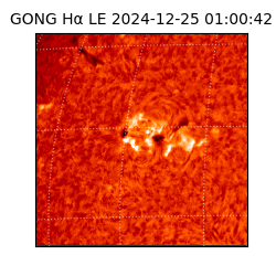 gong - 2024-12-25T01:00:42