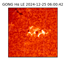 gong - 2024-12-25T06:00:42