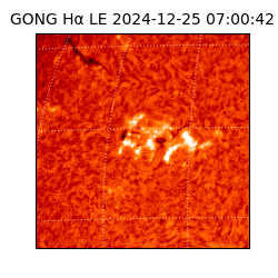 gong - 2024-12-25T07:00:42