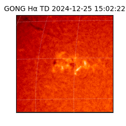 gong - 2024-12-25T15:02:22