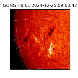 gong - 2024-12-25T09:00:42