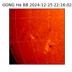 gong - 2024-12-25T22:16:02
