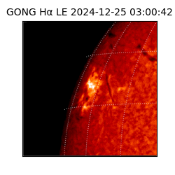 gong - 2024-12-25T03:00:42