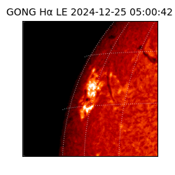 gong - 2024-12-25T05:00:42