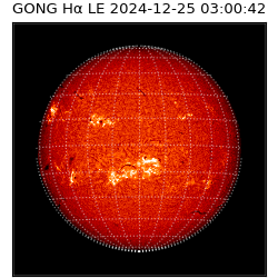 gong - 2024-12-25T03:00:42