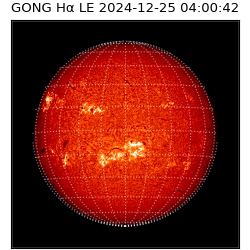gong - 2024-12-25T04:00:42